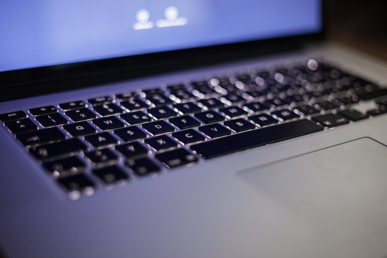 The Ashley Madison Leak: What Information Was Released?