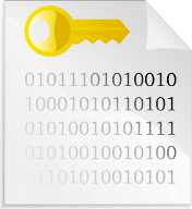 file of binary code with key, encryption