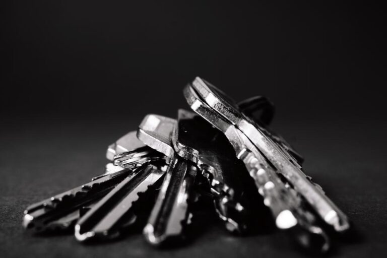 EV Ransomware Targets WordPress Sites