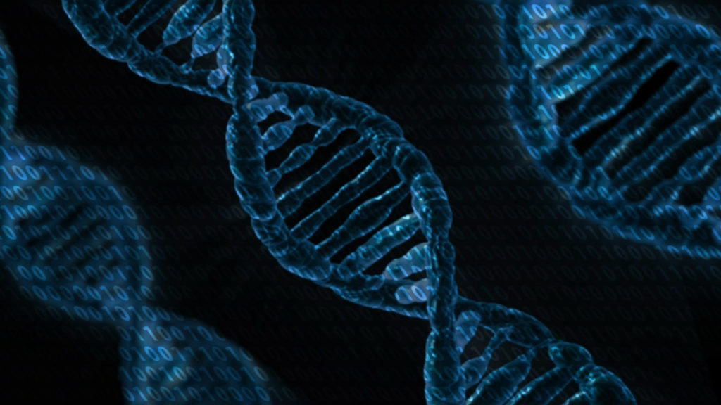 DNA data storage binary