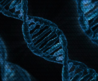 DNA data storage binary