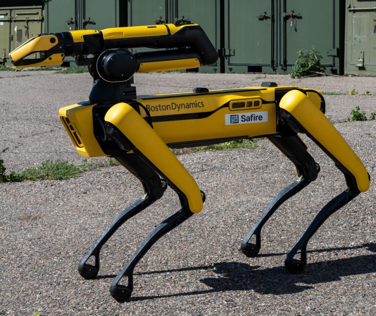 Man Who Lost $191 Million in Bitcoin Wants to Use a Robot Dog to Find It