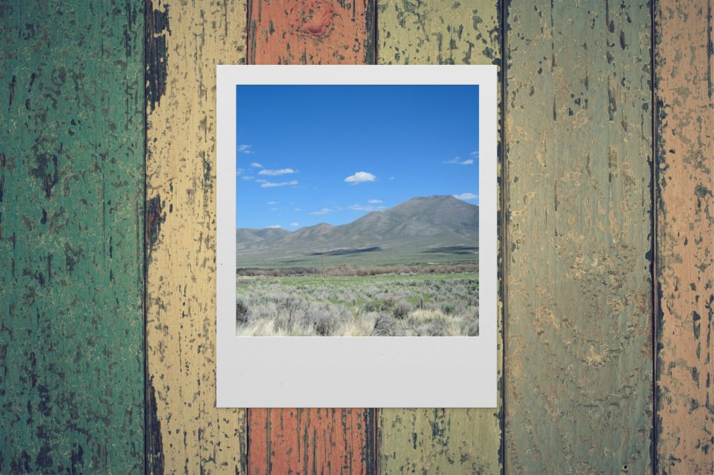 Polaroid photograph of a blue sky on wood boards