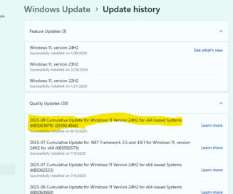Windows 11 update screen showing the KB5063878 update.